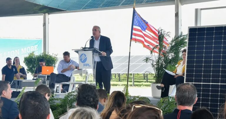 Incentivos Solares en Florida: Guía Completa