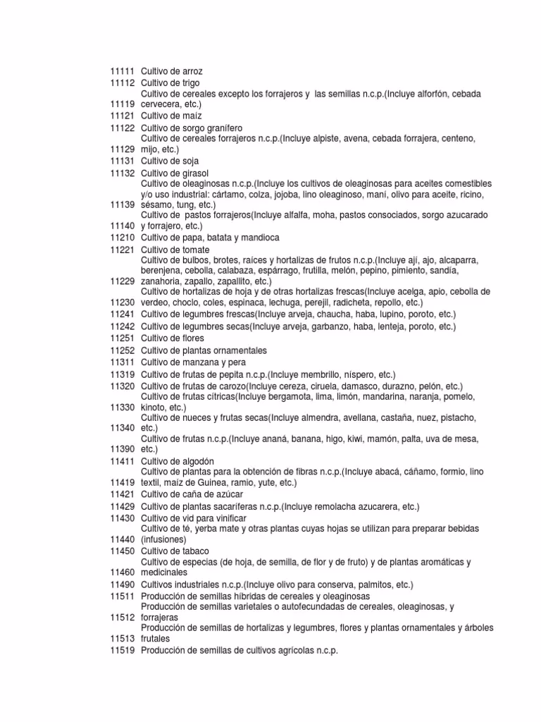 ¿Cómo puedo saber mi código de actividad AFIP?