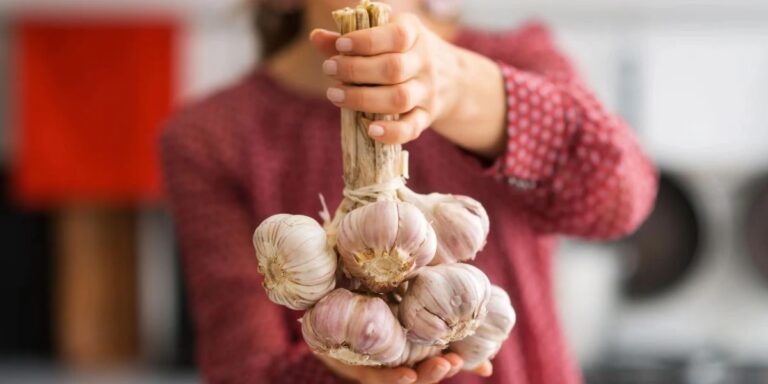 El Poder del Ajo: ¿Fuente de Energía y Salud?