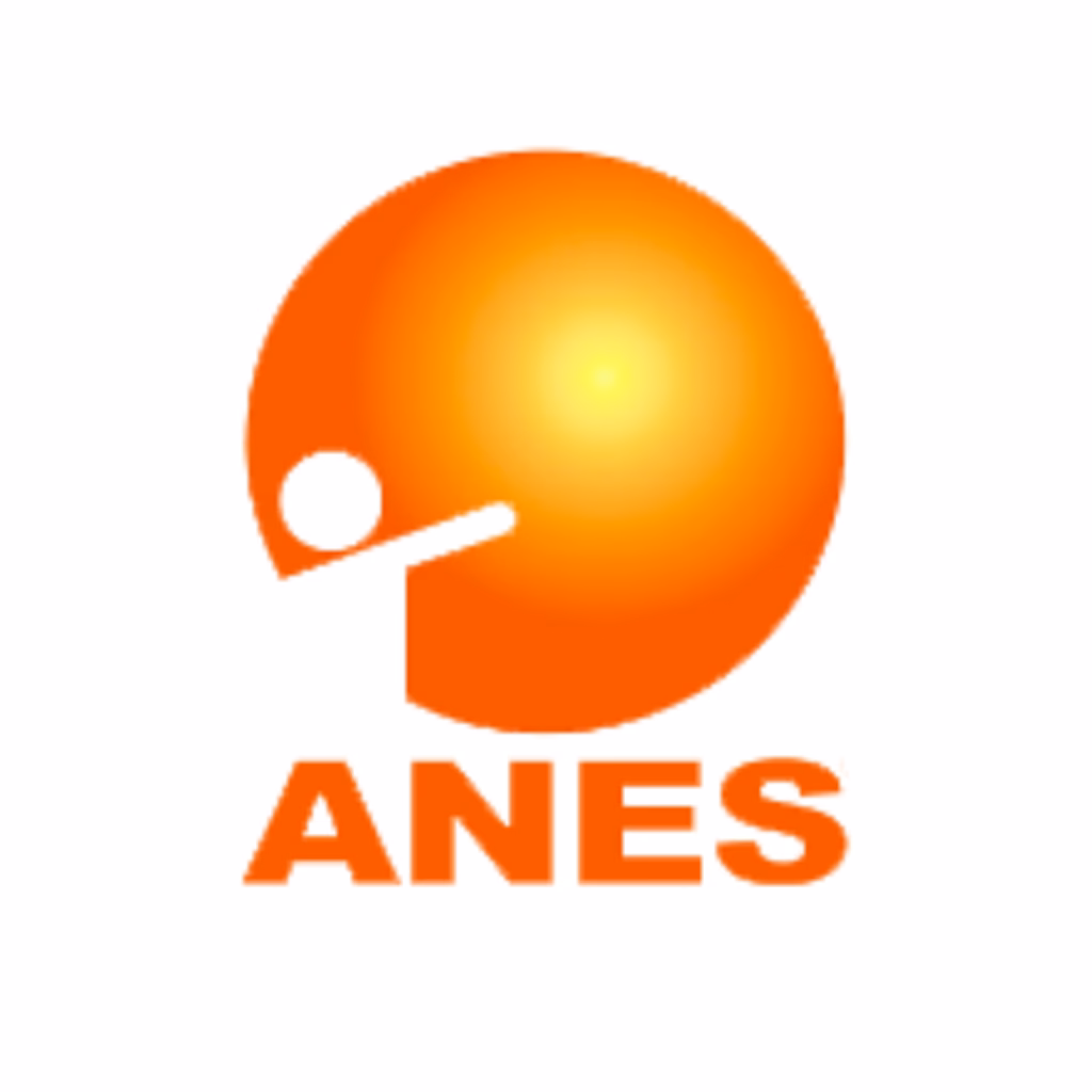 ¿Cuál es la mejor marca de paneles solares en México?