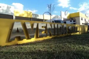 Avenida S.R.L.