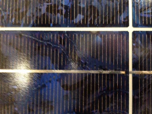 ¿Cómo afectan los rastros de caracoles a los paneles solares?