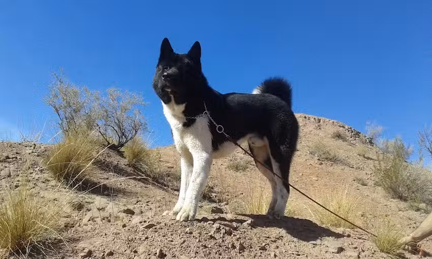 Barrio Solares Del Algarrobal