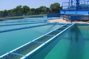 Bioamericano Ingeniería