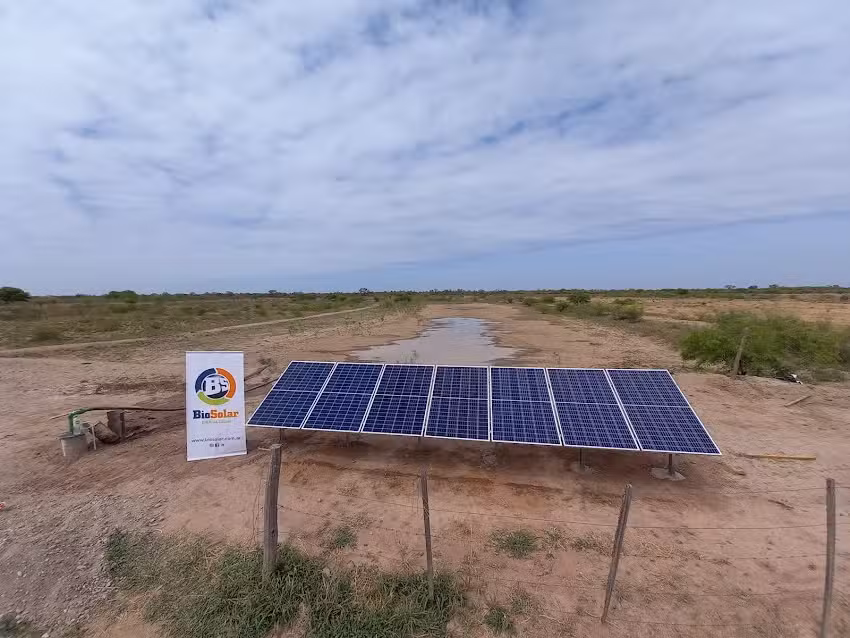 BioSolar