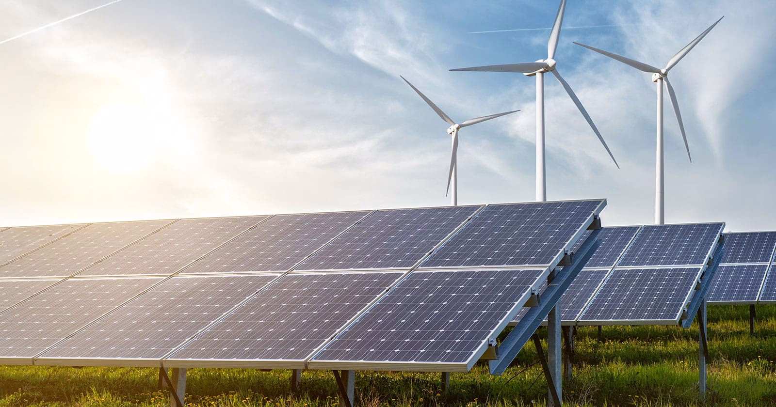 ¿Cómo se utiliza la biotecnología en el sector de la energía?