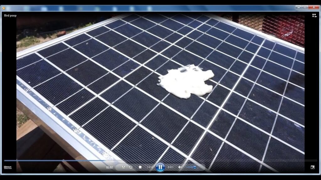 Excrementos de aves: ¿Dañan tus paneles solares?
