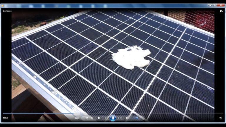 Excrementos de aves: ¿Dañan tus paneles solares?