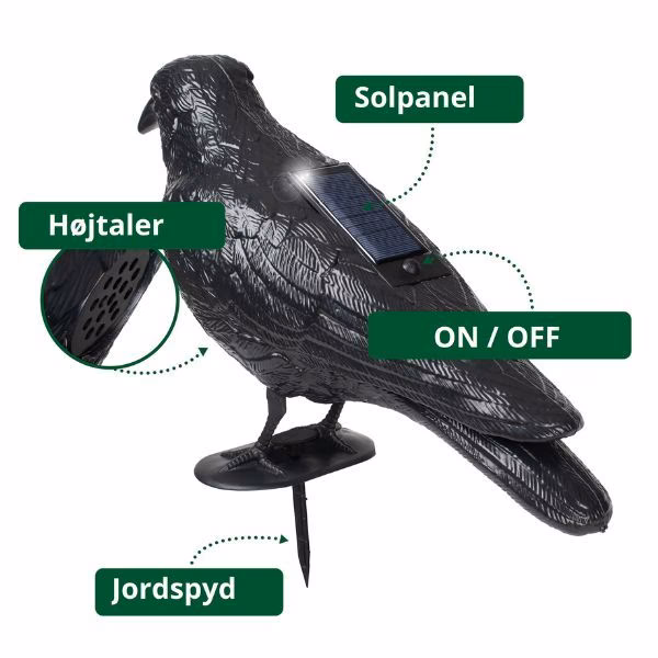 What are the disadvantages of black solar panels?