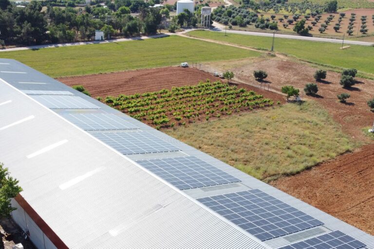 Bodegas Solares: El Futuro del Vino Sostenible