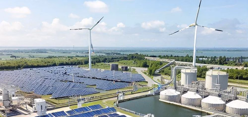 ¿Qué significa bos en construcción?