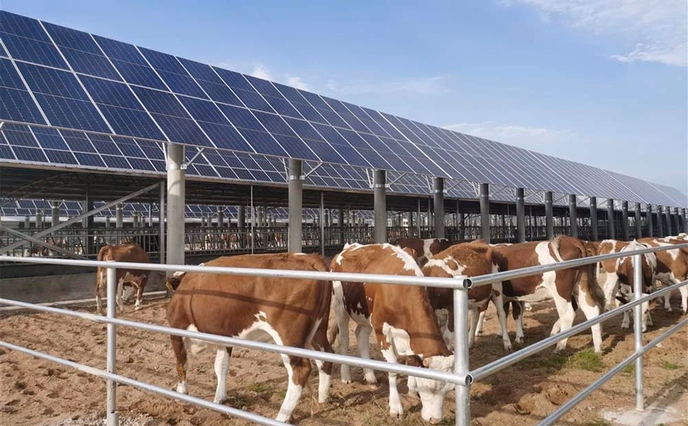 ¿Cuáles son los beneficios de la energía solar en la agricultura?