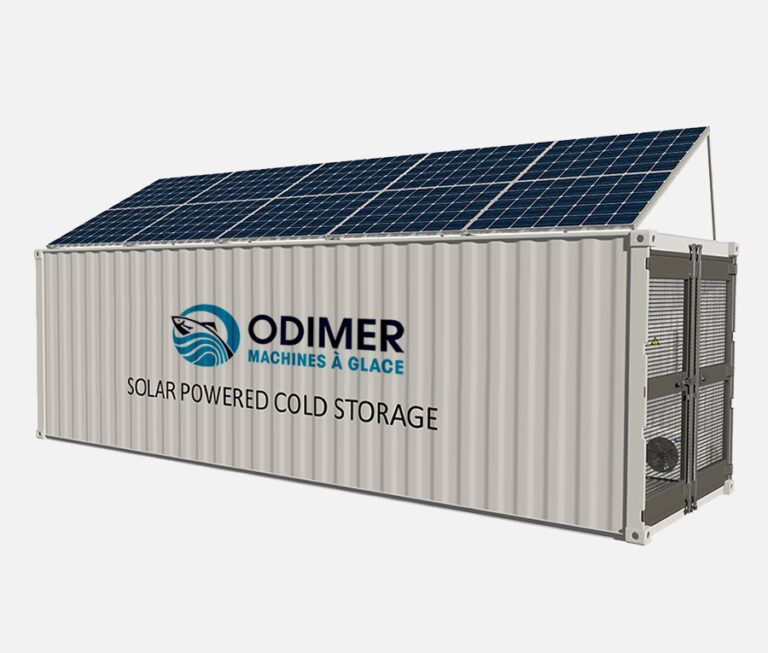 Paneles Solares en Invierno: ¿Funcionan?