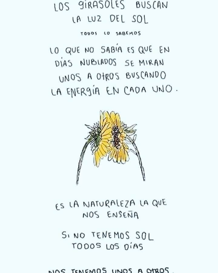 ¿Cuál es una frase bonita sobre la puesta del sol?