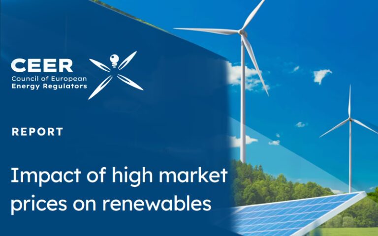 CEER: Guía Completa de Eficiencia y Estudios