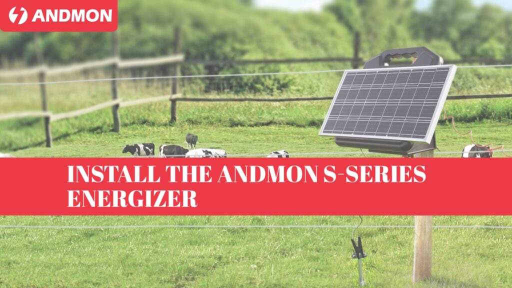 Cerco Eléctrico y Mascotas: ¿Son Seguros?