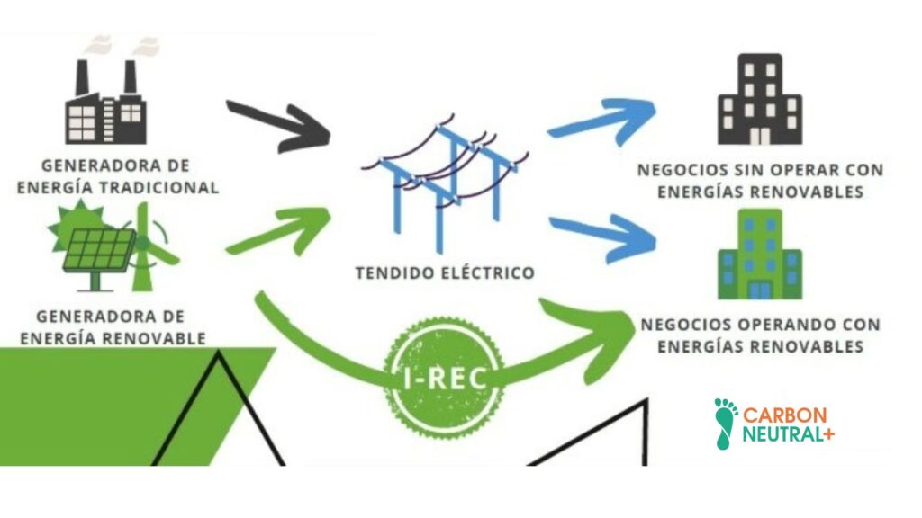 Energías Renovables: Impacto y Sostenibilidad