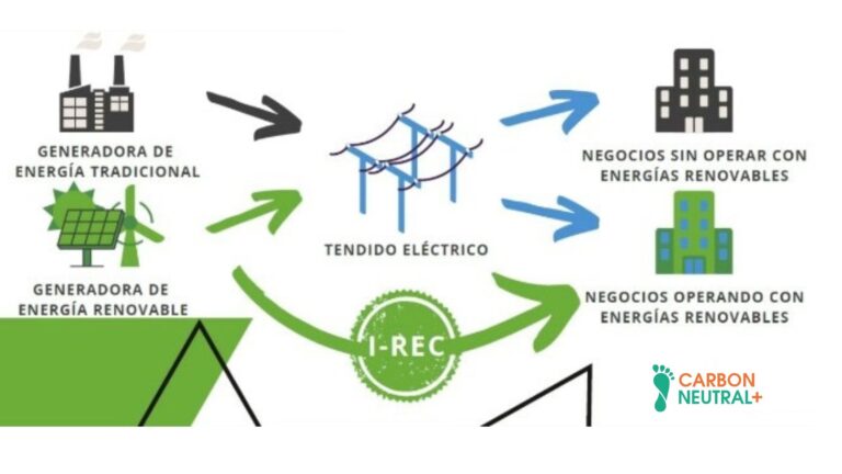 Energías Renovables: Impacto y Sostenibilidad