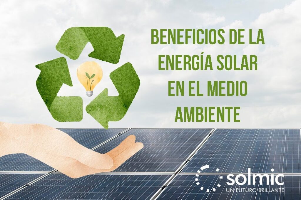 Paneles Solares: Un Aliado para el Medio Ambiente