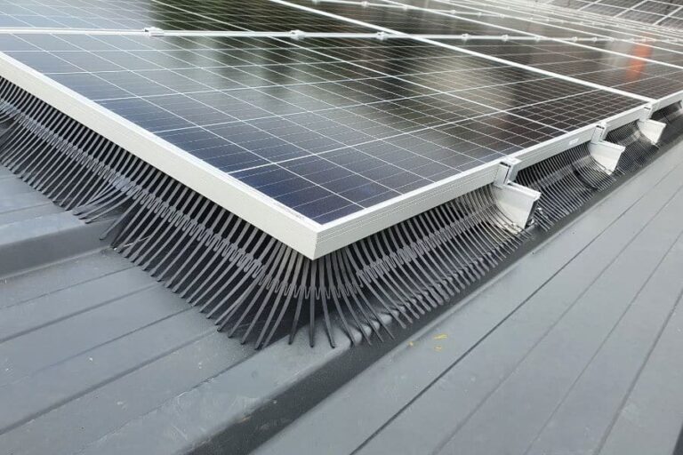 Proteja sus Paneles Solares de las Palomas