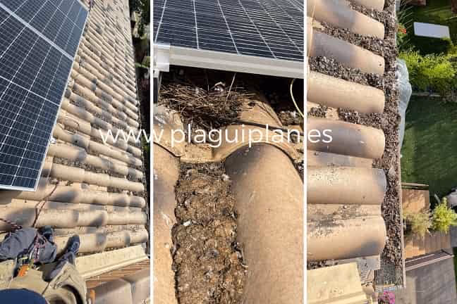 ¿Cómo evitar que las palomas se metan debajo de los paneles solares?