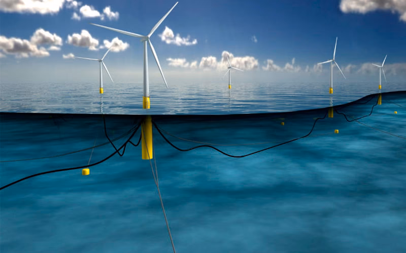 ¿Cuáles son los resultados de la licitación eólica de NTPC?