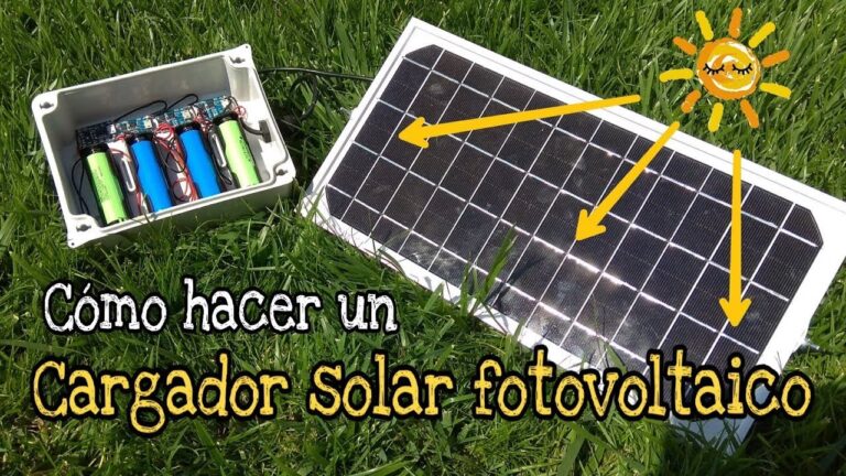 Panel Solar Ideal para tu Batería de 12V
