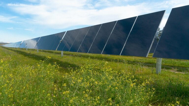 Guía para Paneles Solares Usados: Venta y Reciclaje