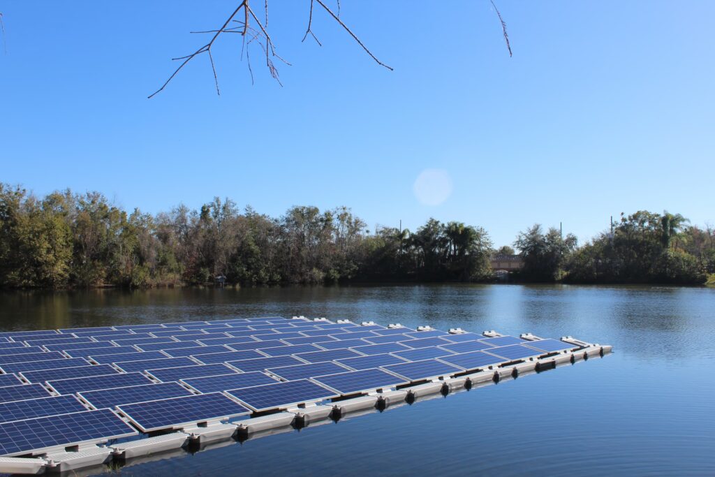 Energía Solar para Todos: Claves de su Acceso