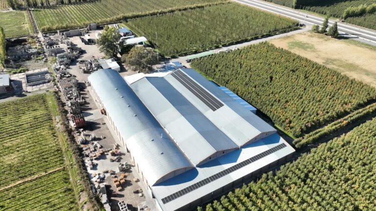 Programa REI-CIF: Clave en la Transición Energética