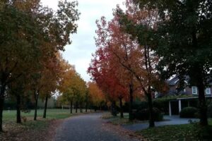 Country Club Solar del Bosque