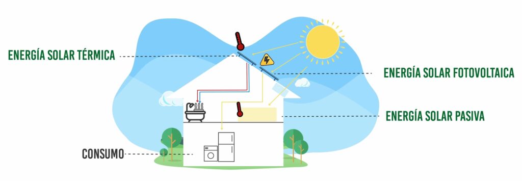 El Sol: Tu Aliado para una Vida Saludable