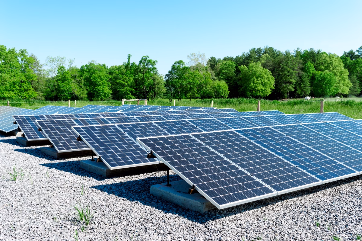 ¿Cuál es la rentabilidad de un huerto solar de 1 hectárea?