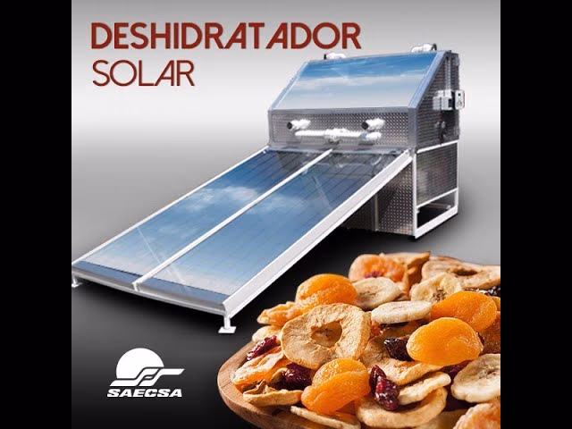 Construye tu Deshidratador Solar Casero: Guía