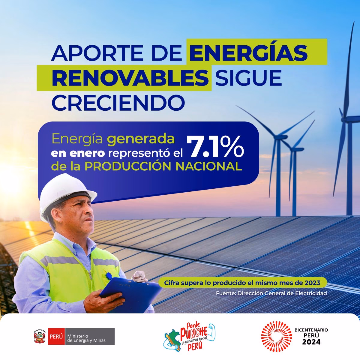 ¿Quién es el director nacional de energía?