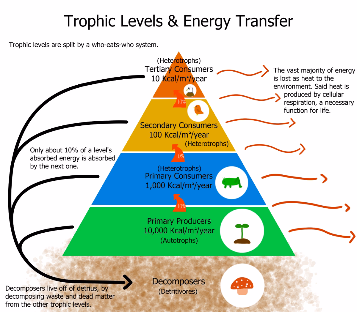 What are the 4 types of renewable energy?