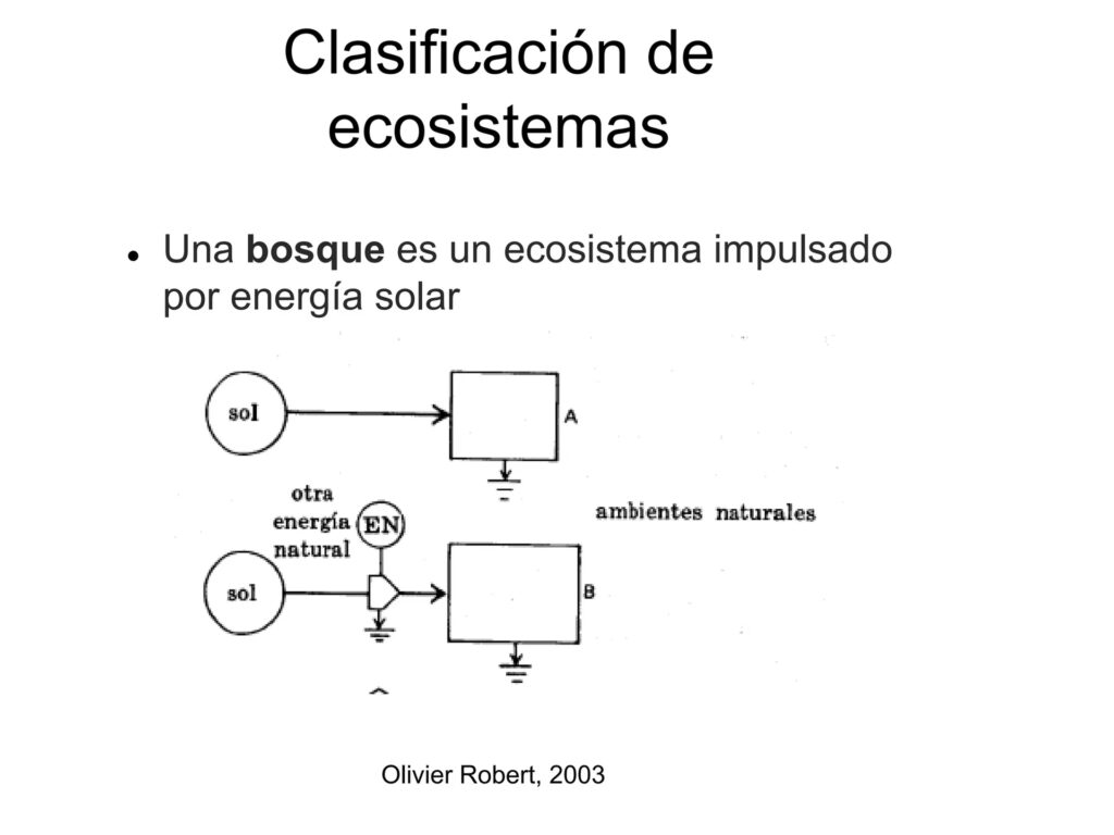 Energía Solar y Biodiversidad: Una Alianza Vital
