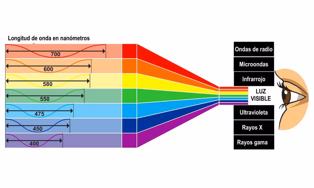 ¿Qué color absorbe más calor del sol?