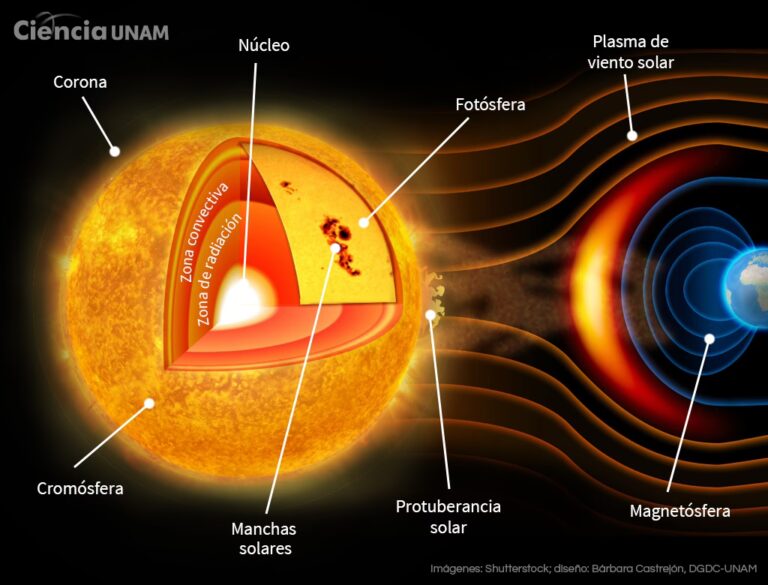 El Corazón Nuclear del Sol y las Estrellas