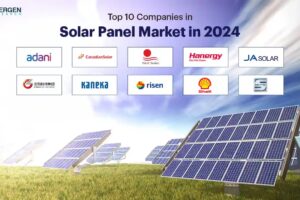 Top 5 Fabricantes de Paneles Solares en EE.UU.