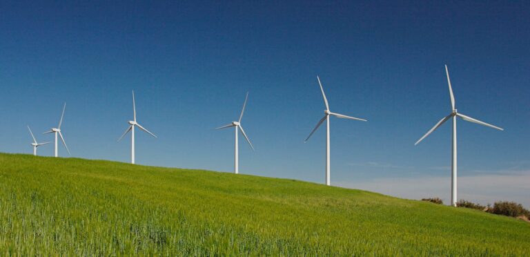 Energía Eólica: El Poder del Viento a tu Favor
