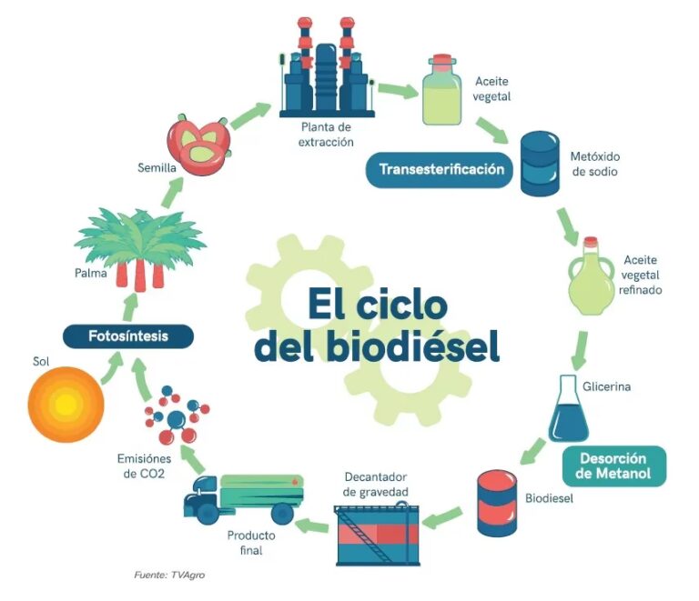 Biodiésel en Argentina: El Corazón Productivo