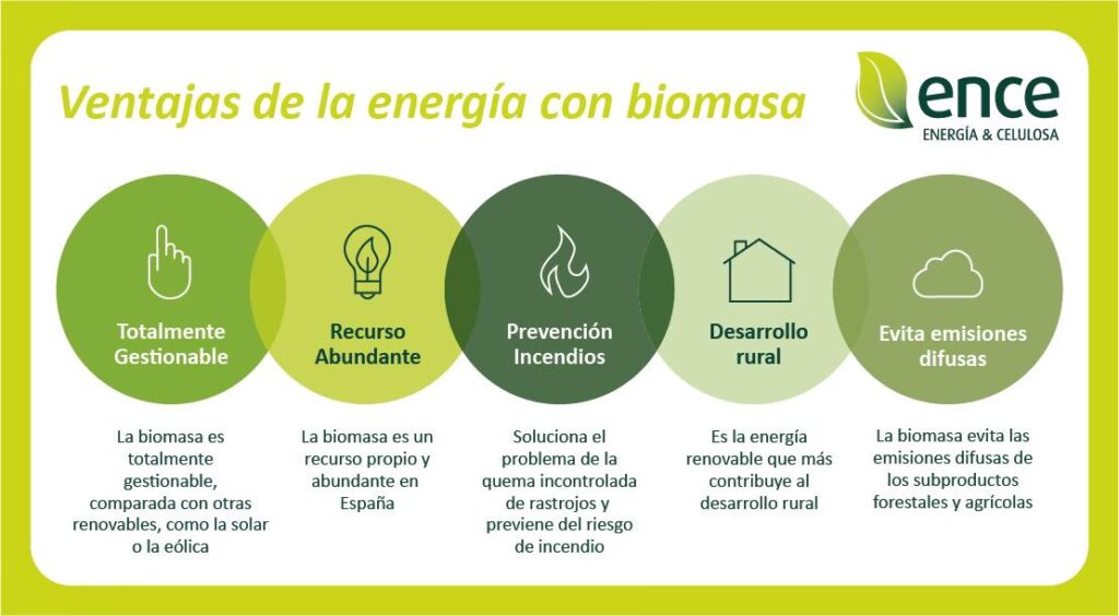 Biomasa: Beneficios de una Energía Ancestral