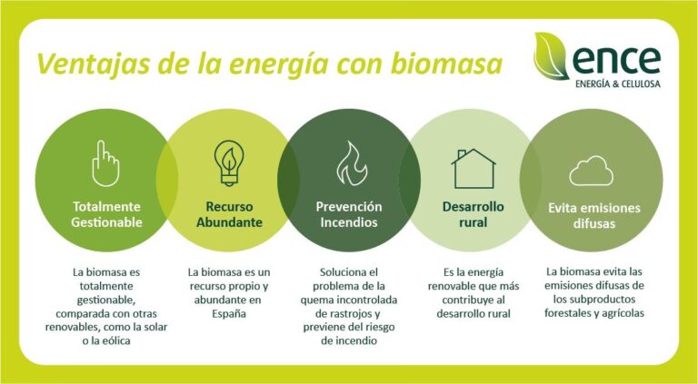 Biomasa: Beneficios de una Energía Ancestral
