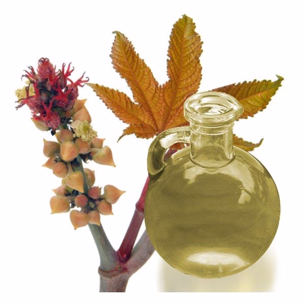 ¿Cómo hacer biodiesel a partir de aceite de ricino?