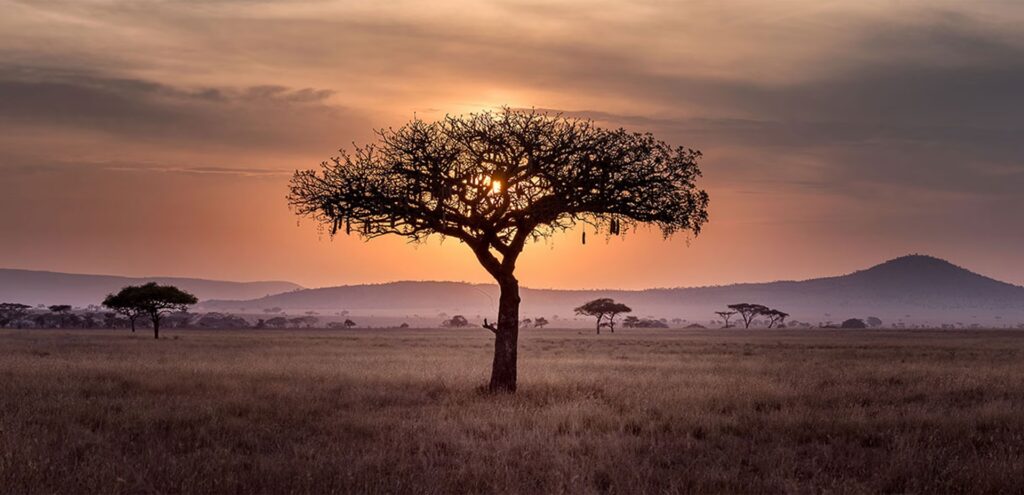 África y su Revolución en Energías Renovables