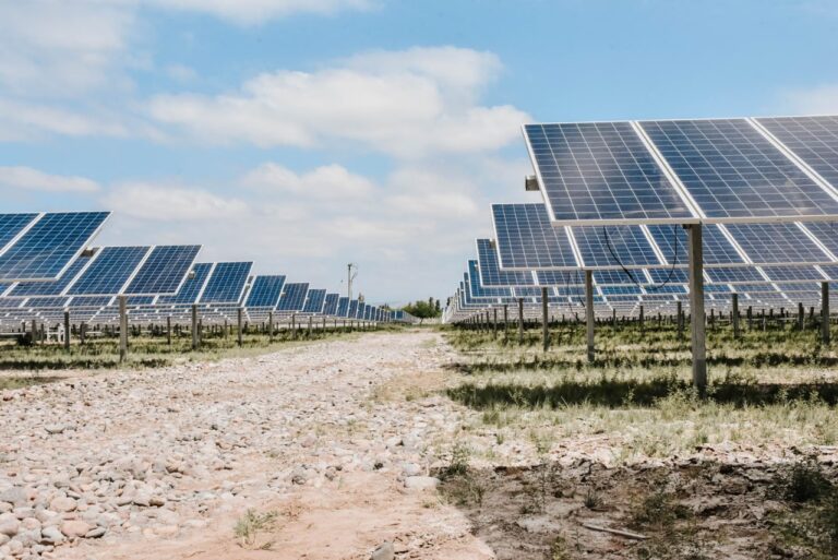 Energía Solar en Catamarca: Potencial y Beneficios