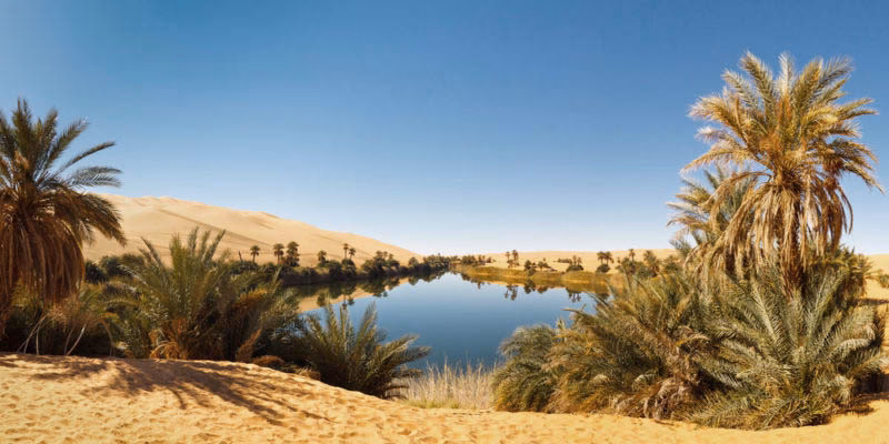 ¿Qué fuente de energía renovable se obtendría mejor de un desierto?