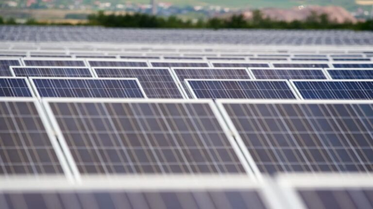 Energías Renovables en la UE: El País Líder en 2024