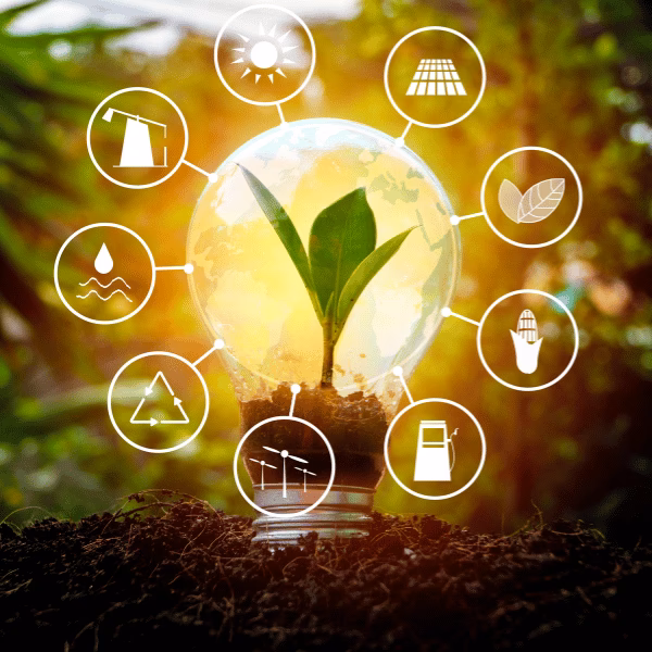 ¿Qué tipo de energía renovable se obtiene a partir de la biomasa?